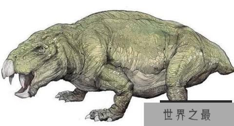 巧合角龙：大洋洲小型食草恐龙，体长2米（大洋洲小型恐龙）