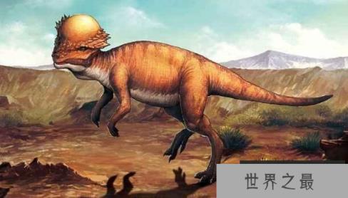 肿头龙：厚头龙科恐龙之一，头顶长有圆形骨板的中型恐龙