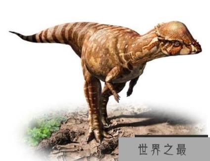 肿头龙：厚头龙科恐龙之一，头顶长有圆形骨板的中型恐龙