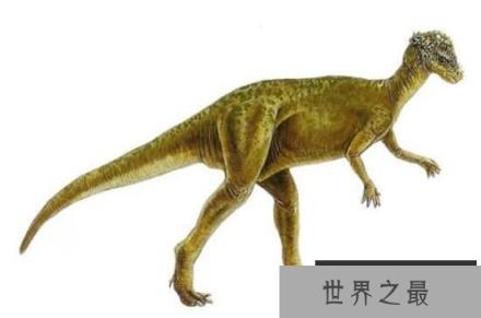 肿头龙：厚头龙科恐龙之一，头顶长有圆形骨板的中型恐龙