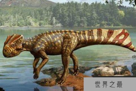 扁角龙：颈盾短小的植食恐龙，别名鞑靼扁角龙