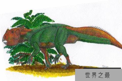 扁角龙：颈盾短小的植食恐龙，别名鞑靼扁角龙