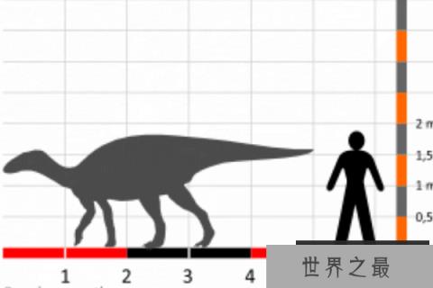 鸭颌龙：小型鸭嘴龙类超科恐龙(体长4米/化石仅右侧齿骨)