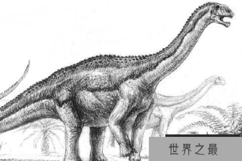伊森龙：东北泰国蜥蜴，体长6.5米的蜥脚类恐龙