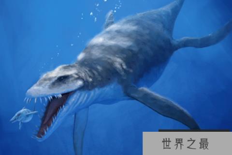 滑齿龙：长有鱼鳍的海洋恐龙，有类似鳄鱼的尖锐牙齿