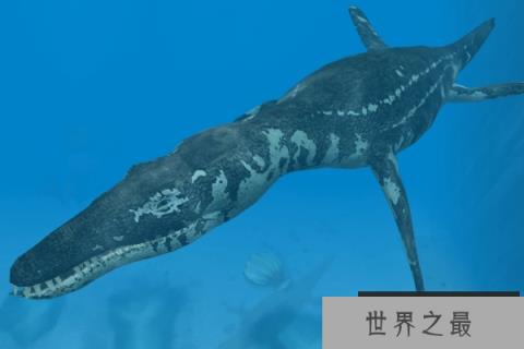 滑齿龙：长有鱼鳍的海洋恐龙，有类似鳄鱼的尖锐牙齿