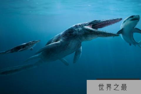 海王龙：白垩纪海洋中的顶级掠食者，体长17米的深海杀手