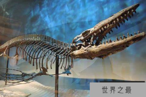 海王龙：白垩纪海洋中的顶级掠食者，体长17米的深海杀手