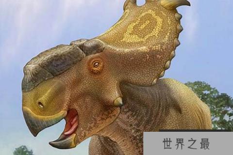 厚鼻龙：性情温顺的尖角龙亚科恐龙（体长7米/喜欢群居）