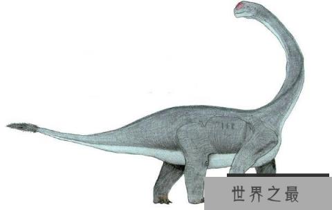 文雅龙：大型四足植食性恐龙（体长9米/头呈方形）