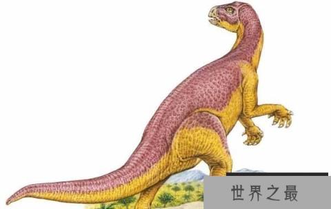 【晓龙：二足草食性恐龙（体长1米/发现于中国四川）】图1
