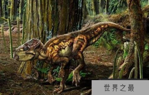 辽宁角龙：四足行走的植食性恐龙(鸟臀目角龙类恐龙)
