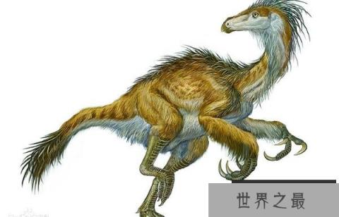 北票龙：一种长羽毛的草食恐龙（长2.2米/辽宁出土）