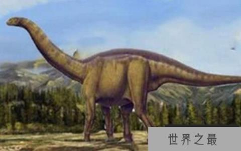 峨眉龙：中型长颈的蜥脚类恐龙（长21米/四川峨眉山出土）