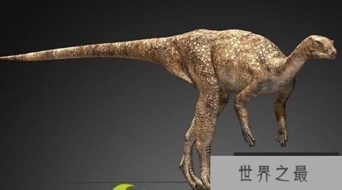 【晓龙：二足草食性恐龙（体长1米/发现于中国四川）】图4