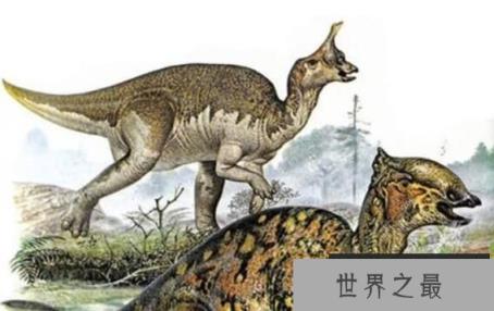 青岛龙：有顶饰的鸭嘴龙类恐龙(长10米/距今7000万年前)