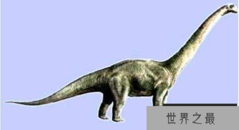 盘足龙：足如圆盘的巨型植食恐龙(长10米/距今1.5亿年前)