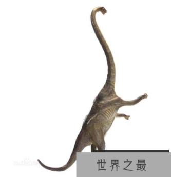 盘足龙：足如圆盘的巨型植食恐龙(长10米/距今1.5亿年前)