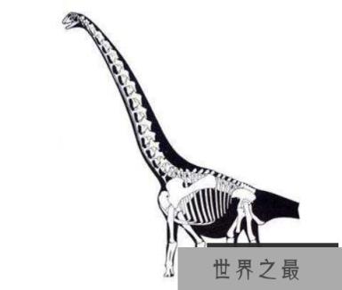 盘足龙：足如圆盘的巨型植食恐龙(长10米/距今1.5亿年前)