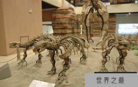 天镇龙：一种山西小型食草恐龙（长4米/晚白垩世恐龙）