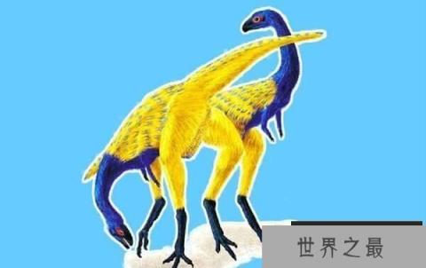 安尼柯龙：阿根廷小型食肉恐龙（长2米/中白垩世）