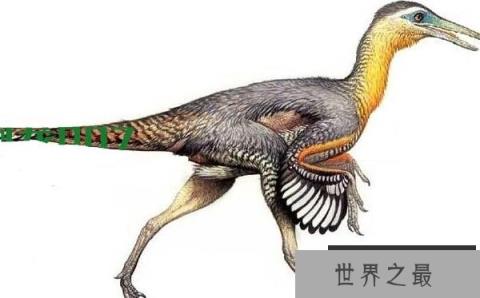 鹫龙：体型偏小的驰龙类恐龙，大长腿擅长奔跑