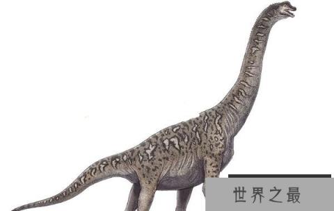 利加布龙：巨型食草恐龙，体长24米，生活在白垩纪早期