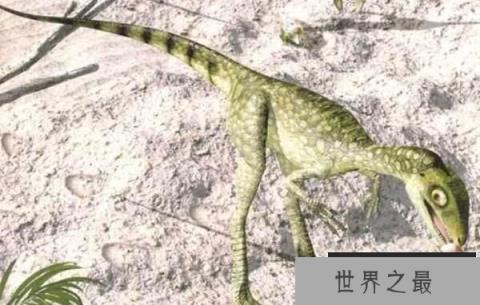 棒爪龙:意大利小型食肉恐龙,体长达2米(白垩纪恐龙)