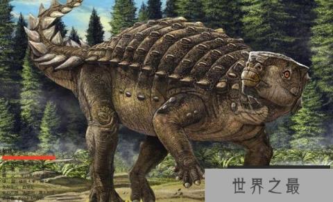 敏迷龙：南半球第一条甲龙（长相似乌龟/小型食草恐龙）