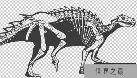 敏迷龙：南半球第一条甲龙（长相似乌龟/小型食草恐龙）