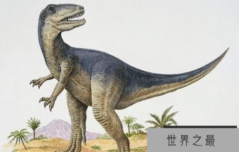 皮亚尼兹基龙：阿根廷中型二足恐龙（长4.3米/中侏罗世恐龙）