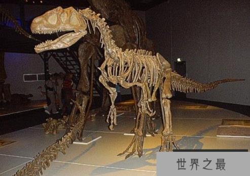 皮亚尼兹基龙：阿根廷中型二足恐龙（长4.3米/中侏罗世恐龙）