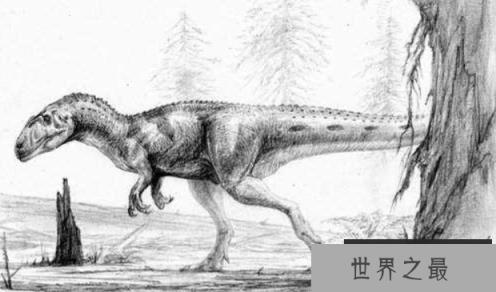 皮亚尼兹基龙：阿根廷中型二足恐龙（长4.3米/中侏罗世恐龙）