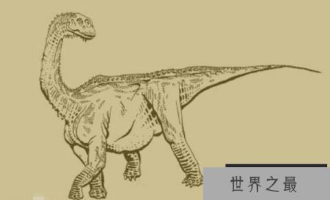 巴塔哥尼亚龙(Patagosaurus)：体长20米的阿根廷超巨型恐龙