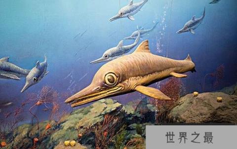 大眼鱼龙(Ophthalmosaurus)：长相酷似海豚，眼睛超级大