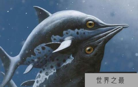 大眼鱼龙(Ophthalmosaurus)：长相酷似海豚，眼睛超级大