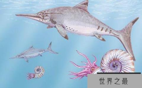 大眼鱼龙(Ophthalmosaurus)：长相酷似海豚，眼睛超级大