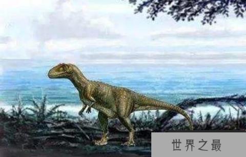 气腔龙(Aerosteon)：长9米的阿根廷大型食肉恐龙