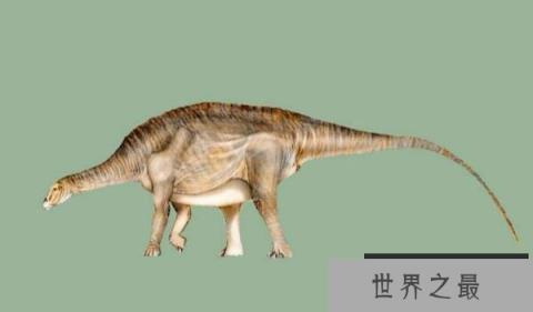 内乌肯龙(Neuquensaurus)：长15米的阿根廷大型食草恐龙