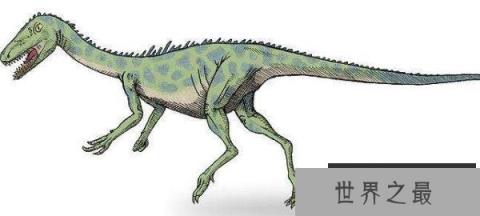 西北阿根廷龙：小型兽脚亚目恐龙，体长1.8米的杂食性恐龙