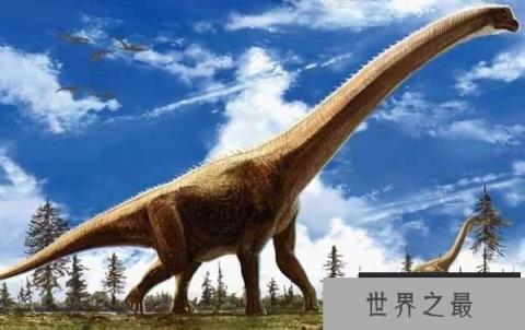 波塞冬龙：北美洲超巨型恐龙，身高17米（已知最高的恐龙）