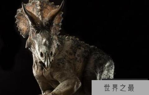 三角龙：北美洲大型恐龙（长8米/食草恐龙战力巅峰）