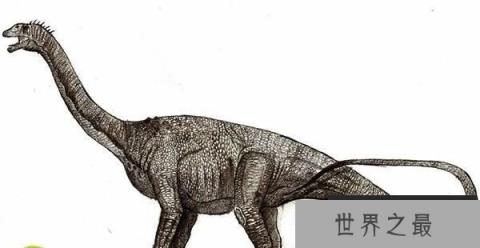 秦岭龙：中国大型食草恐龙（长20米/距今6500万年）