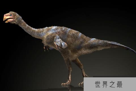 河源龙：酷似鸟类的小型偷蛋龙，已出土9具化石(鸟喙状嘴)