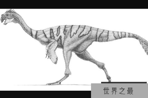 河源龙：酷似鸟类的小型偷蛋龙，已出土9具化石(鸟喙状嘴)