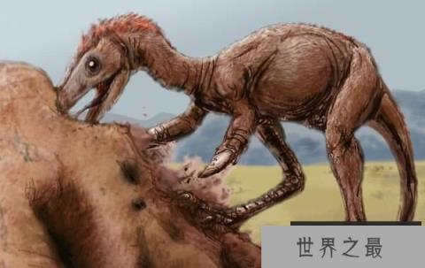 阿瓦拉慈龙（Alvarezsaurus）：体长2米且外形似鸟的恐龙