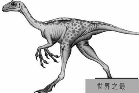 彩蛇龙(Caihong)：体长2米的双足食肉恐龙，化石仅一根胫骨