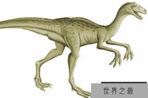 彩蛇龙(Caihong)：体长2米的双足食肉恐龙，化石仅一根胫骨