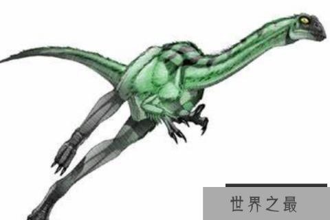 彩蛇龙(Caihong)：体长2米的双足食肉恐龙，化石仅一根胫骨