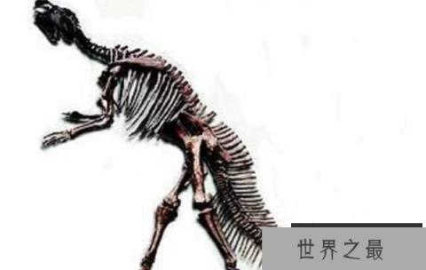 山东龙:中国大型食草恐龙(长15米/晚白垩世食草恐龙)